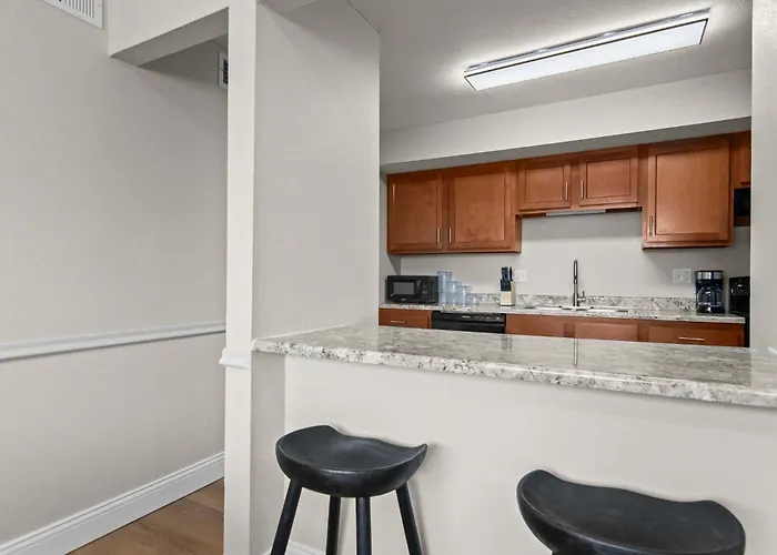 Newly Renovated Unit In Spfld #101 *